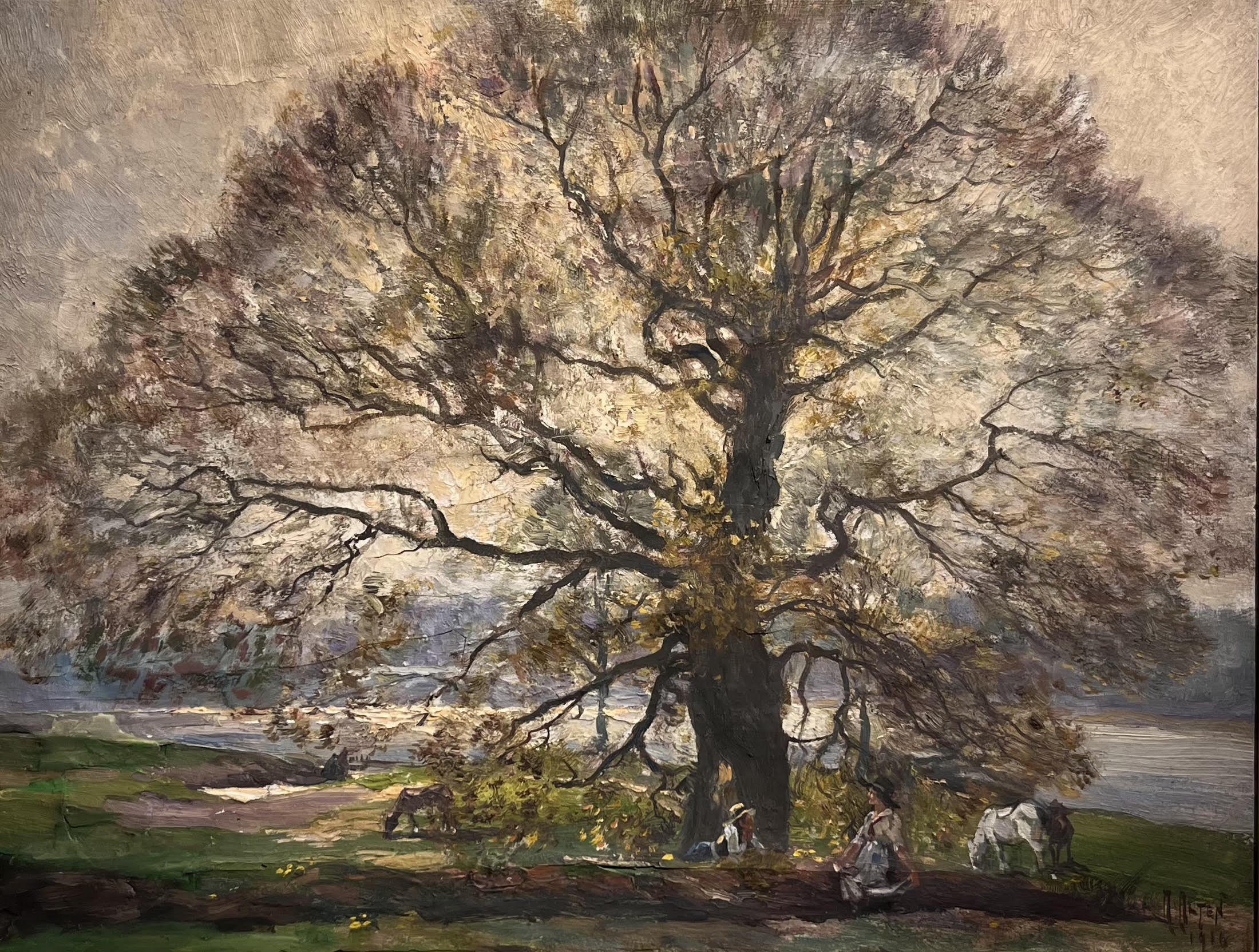 Spreading Tree, 1917